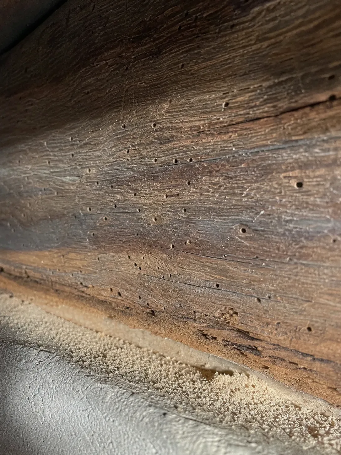 Orificios de carcoma en una viga de madera