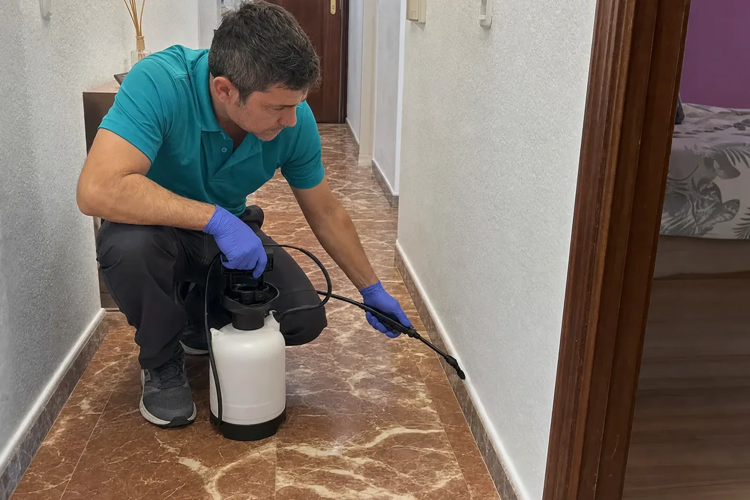 Picaduras al despertar: ¿chinches, pulgas o mosquitos?