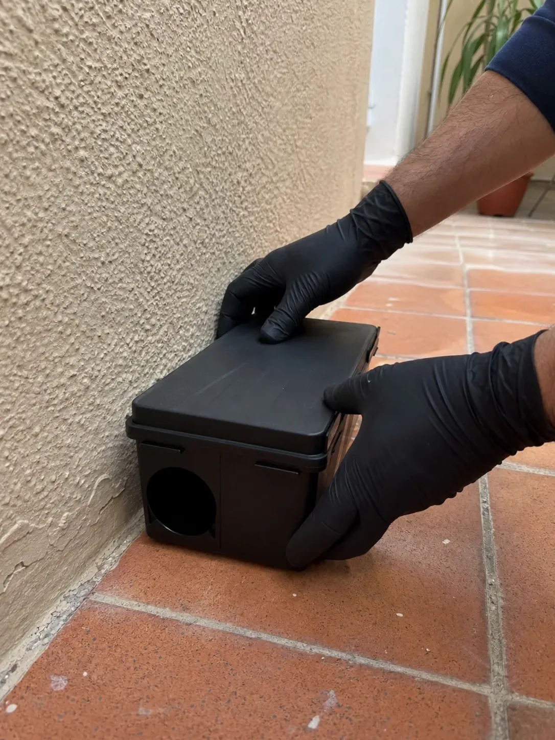 Instalación de un portacebos de seguridad para roedores