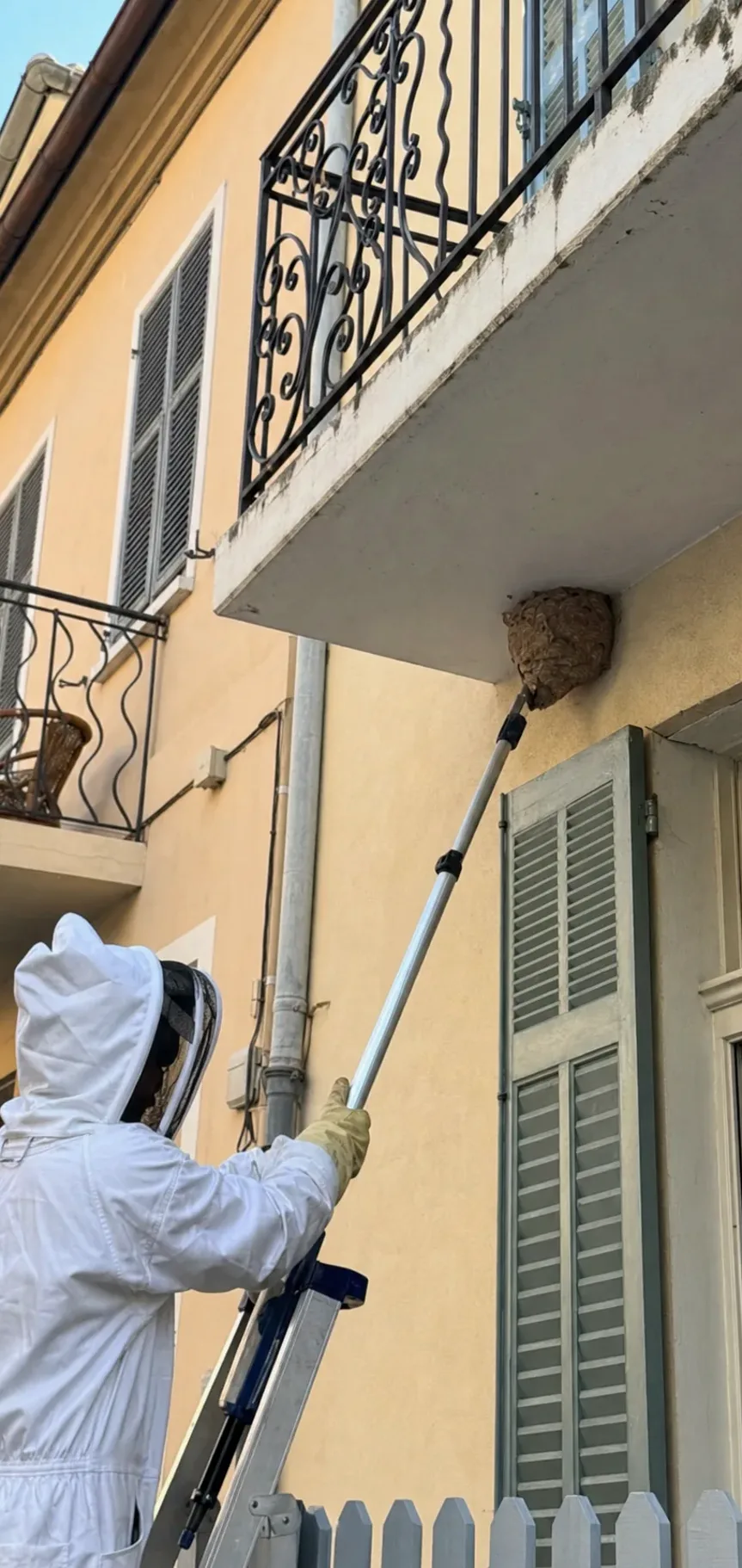 Retirada de nidos de avispas en La Garriga — GarrigaPlagas